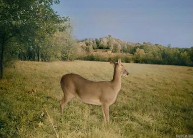 150 Twin Creeks, Ben Lomond, AR 71823 - photo 3