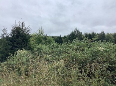 3 Abel Cyr Rd, Hamlin, ME 04785 - photo 4