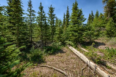 0 Lot 29 Aspen Mdws Se Neighbor unit 112451, Brian Head, UT 84719 - photo 6