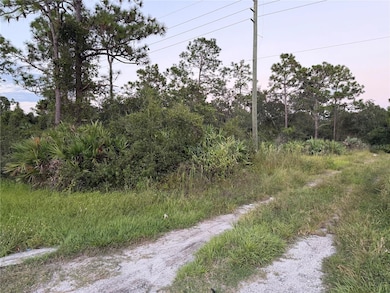 0 NE 17th Ave, Okeechobee, FL 34972 - photo 4