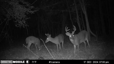 0 Alabama 41, Brewton, AL 36426 - photo 5