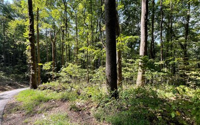 Additional View