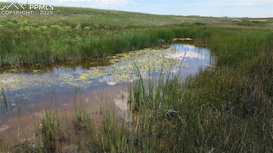 The ponds spring to life and change with the seasons.