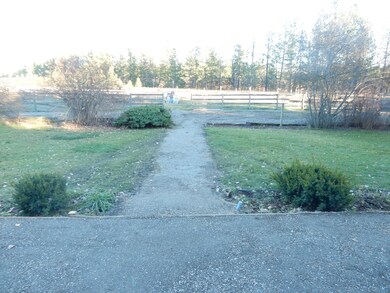 back yard