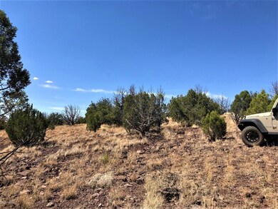 1200 W Warren Way, Ash Fork, AZ 86320 - photo 3