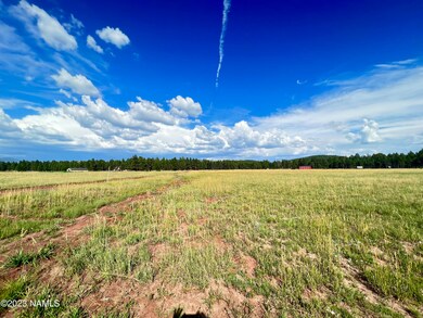 Keith 14646 North property line east