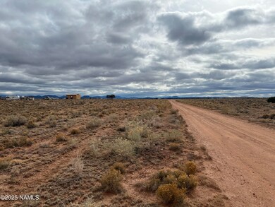 1059 S Laguna Dr, Valle, AZ 86046 - photo 4
