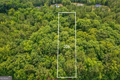 206 Crescent Dr, Forsyth, GA 31029 - photo 4