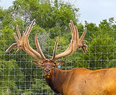 81639 Rd 459, Sargent, NE 68874 - photo 2