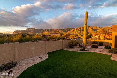 Views & synthetic grass!