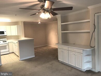 1055 Gardenview Loop unit 301, Woodbridge, VA 22191 - photo 6