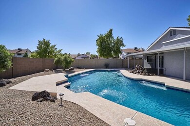 Backyard3
