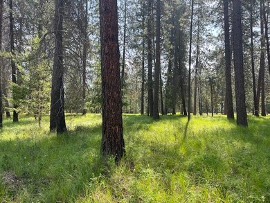 203 Eagle Dr, Chewelah, WA 99109 - photo 4