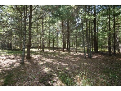 Lot #2 Olsen Road Rd, Webster, WI 54893 - photo 5
