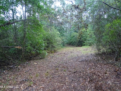 0 Sweetbay Ln unit 4120426, Wiggins, MS 39577 - photo 6