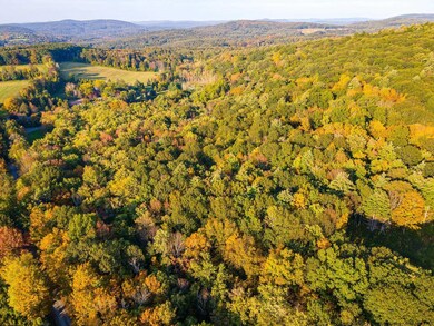 0 Pitts Rd unit 20232833, Chatham, NY 12136 - photo 4