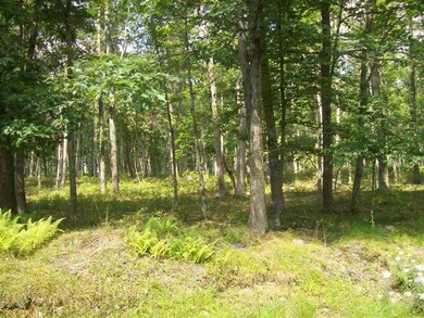 LOT 42 Fawn Lake Dr, Lackawaxen Township, PA 18428 - photo 4