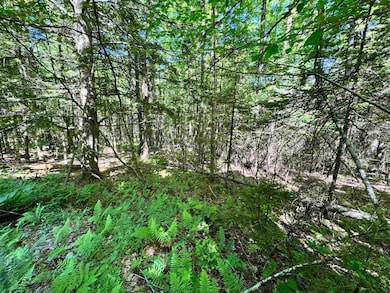 Lot 87 Langway Rd, Lyman, NH 03585 - photo 7