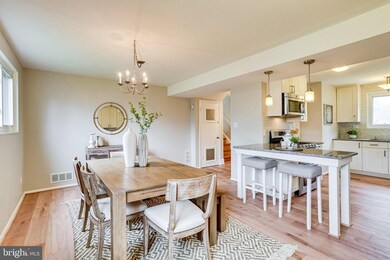 5320 Bangor Dr, Kensington, MD 20895 - photo 6