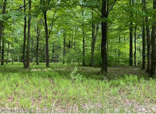 903 W Wadi Rd, Pocono Lake, PA 18347 - photo 6