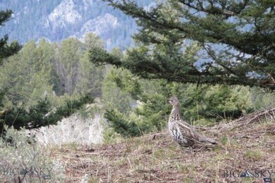 TBD Riverview Lane Lot 8, Big Sky, MT 59716 - photo 4