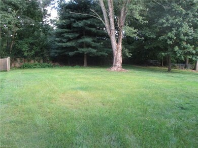 View of yard Full Forest