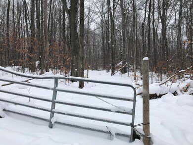 0 Sugar Maple Trail, Corwith Township, MI 49795 - photo 6