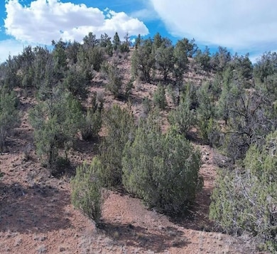 0 W Conejo Rd, Seligman, AZ 86337 - photo 2