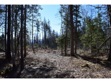 0 Bailey Rd, Jefferson, NH 03583 - photo 4