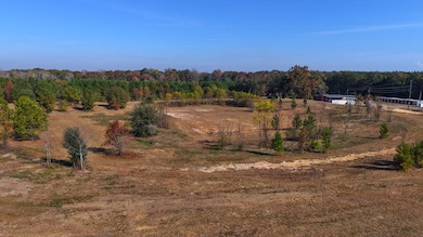 84 McCallister Rd, Slocomb, AL 36375 - photo 6