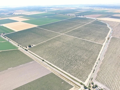 48450 W Sutter Rd, Clarksburg, CA 95612 - photo 2