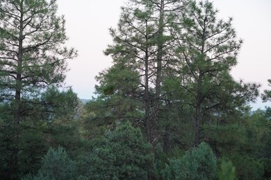 DSC01210