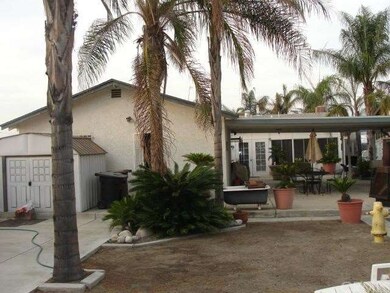 Rear yard view facing house