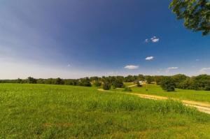 1610 U S 65, Harrison, AR 72601 - photo 3