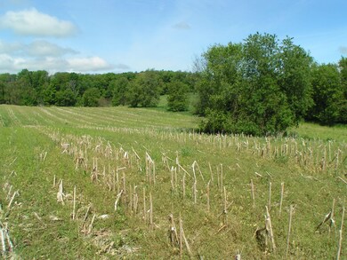 2015 Jefferson Rd, Ionia, MI 48846 - photo 2