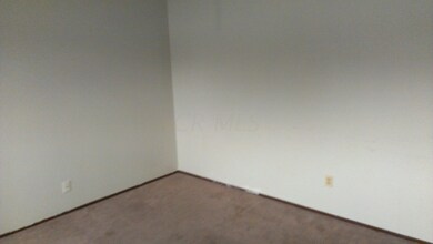 IMAG4041 (1)