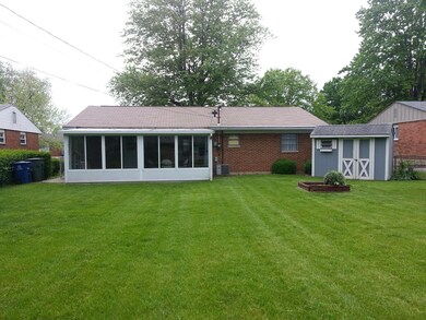 Back yard