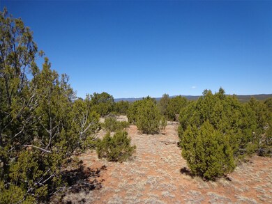 Tract 1B Camino Del Sol, Bernal, NM 87569 - photo 5
