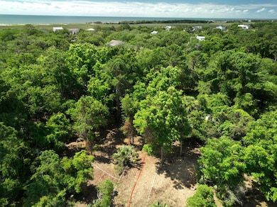 Twrd State Park & EB front beach