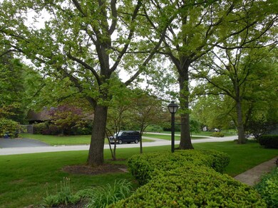 4360 - Front yard from Sidewalk