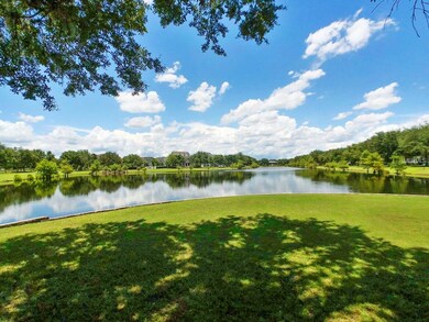 View of High Park Lake!