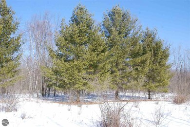 0 Alabaster Rd, Tawas City, MI 48763 - photo 2