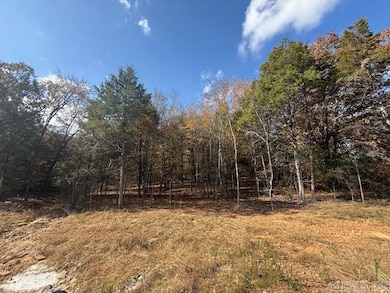 34 Summer Sky Dr, Greenbrier, AR 72058 - photo 2