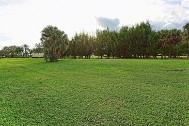 201 Pinecrest Circle C  Open Grounds