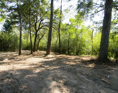 0 Old Joseph Rd, Hockley, TX 77447 - photo 3