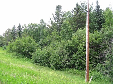View of local wilderness