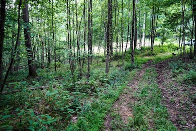 Lot 130 Laurel Loop, Bruceton Mills, WV 26525 - photo 4