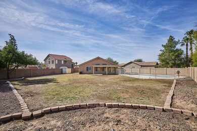 Backyard3