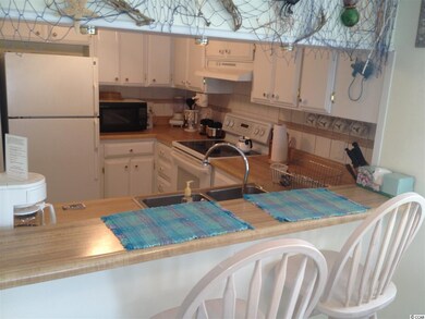 3610 S Ocean Blvd unit Ocean Pier II Unit 2, North Myrtle Beach, SC 29582 - photo 4