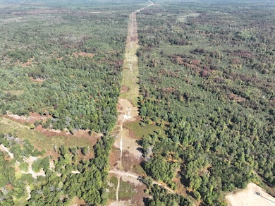 0 Sterling Truck Trail unit 11610290, Sterling, MI 48659 - photo 3